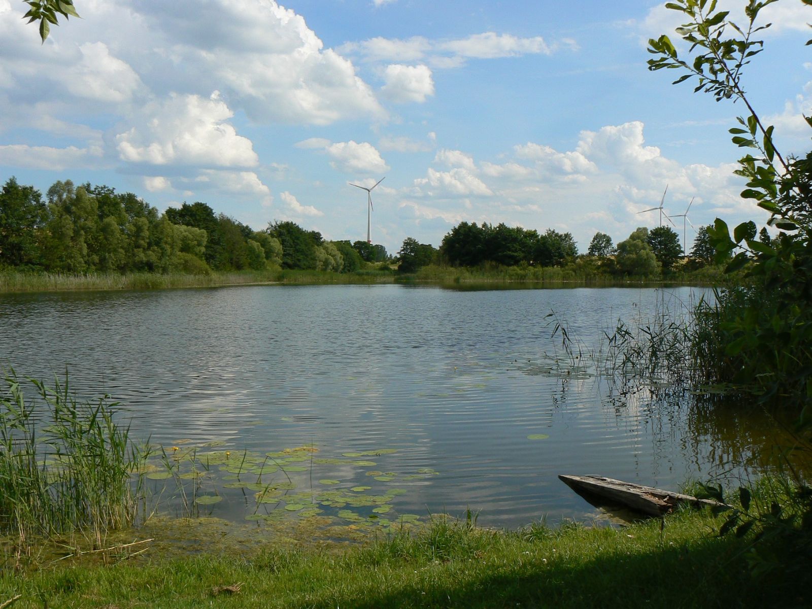 Anglerverein Pomellen e.V. 